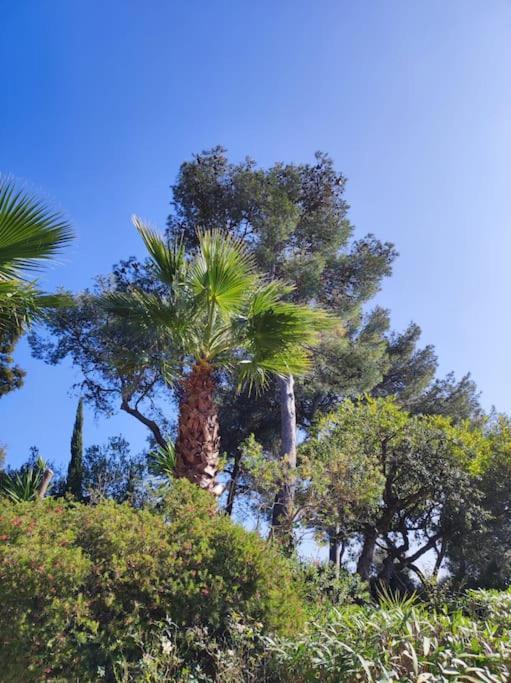 La Californienne Villa Carqueiranne Eksteriør bilde
