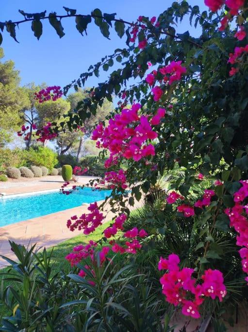 La Californienne Villa Carqueiranne Eksteriør bilde