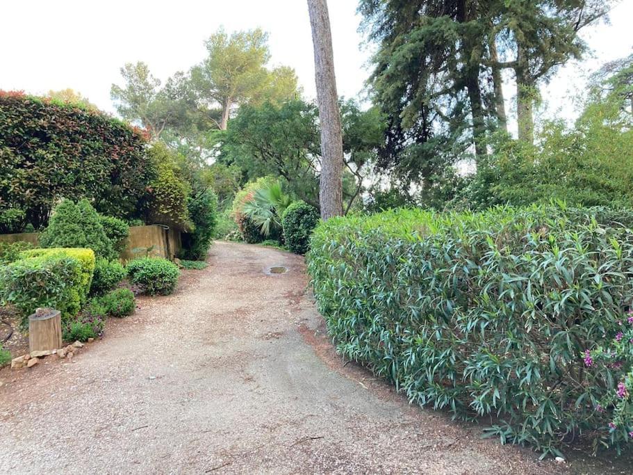 La Californienne Villa Carqueiranne Eksteriør bilde